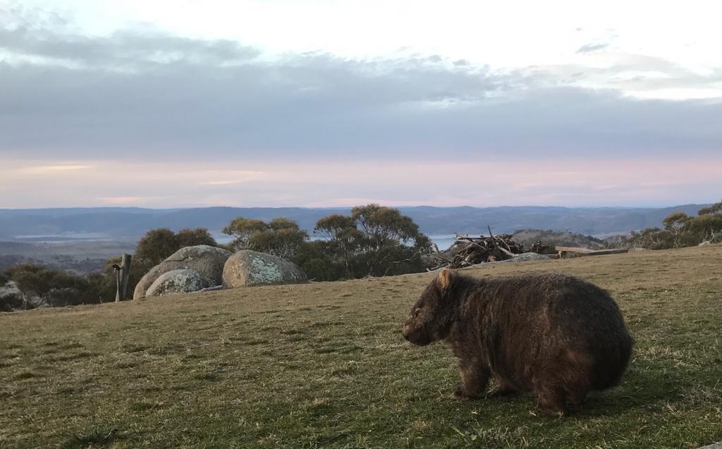 Altitude 1260 Villa Jindabyne Dış mekan fotoğraf